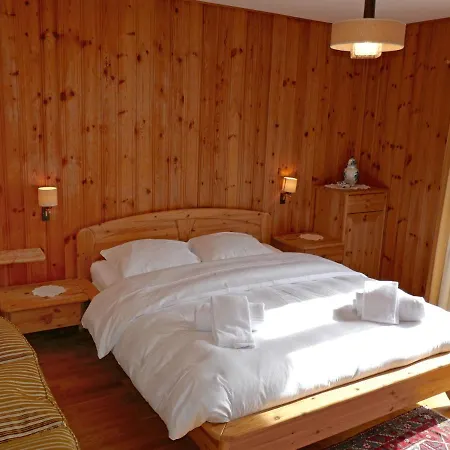 Holiday Etoile Des Neiges